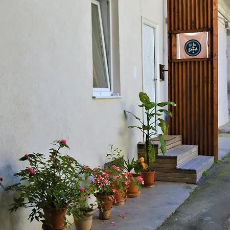 Apartamento Zen House Braşov