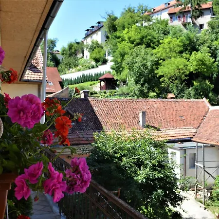 Zen House * בראשוב